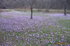 La primavera al Villaggio